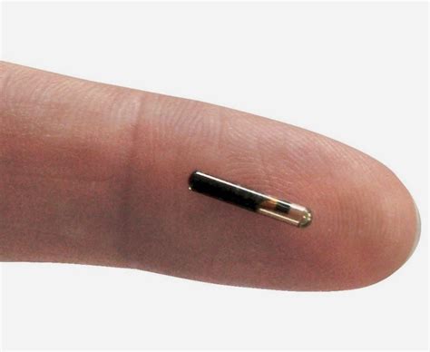 micro rfid chip|chip for human identification.